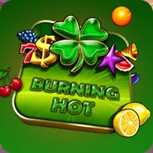 Super Hot | Big wins at Burning Hot online